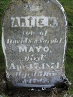 Mayo, Artie N